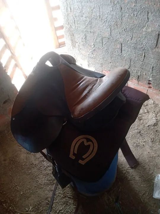 Sela de Montaria - Foto 4