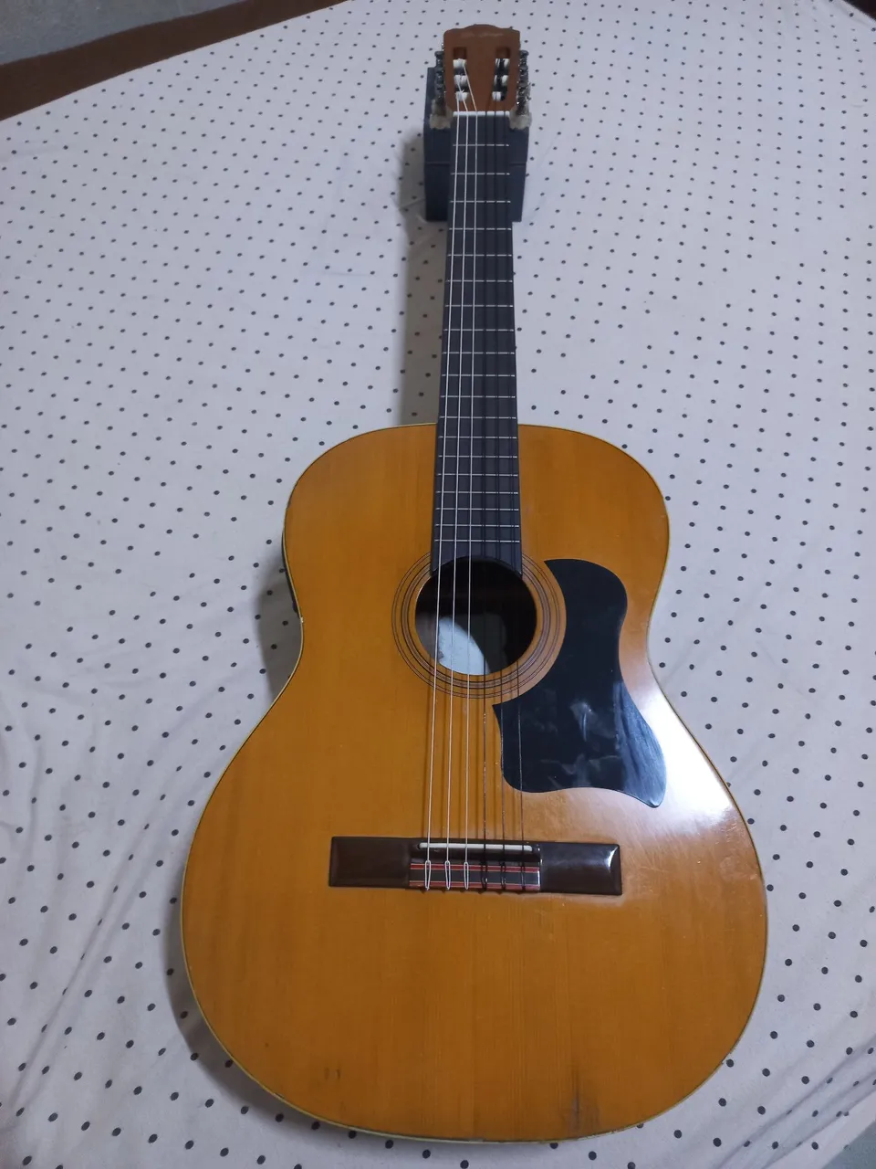 Violão Eletro-acústico Di Giorgio N.38