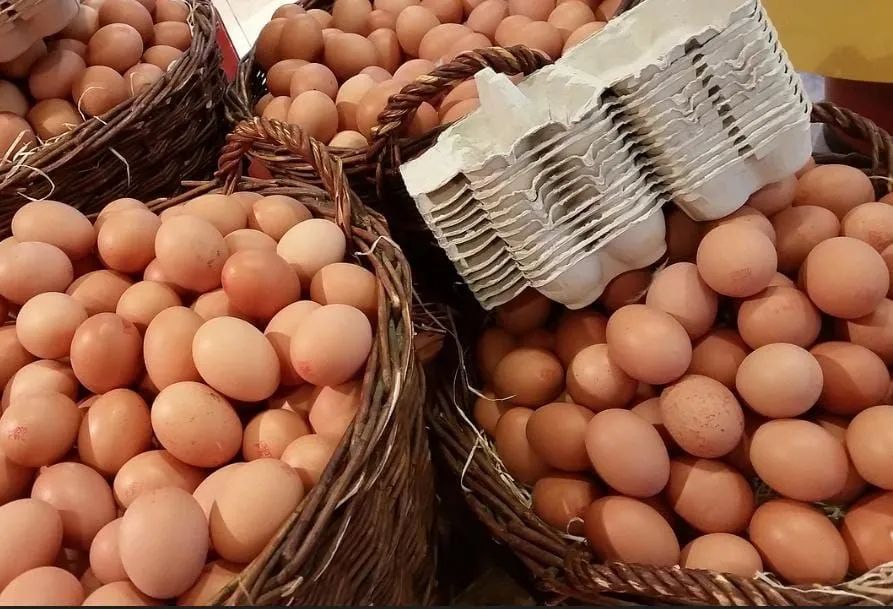 Distribuidora de Ovos 64293078768002120