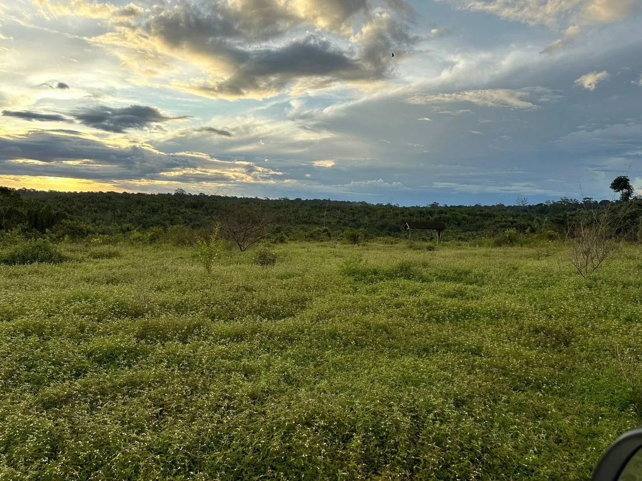 Vende-se uma Propriedade Rural ( Fazenda )