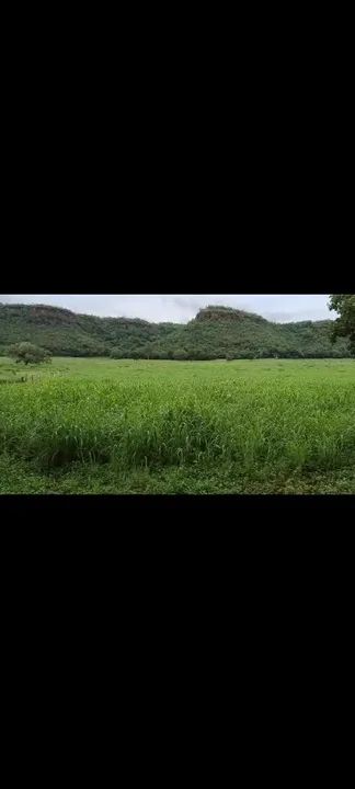 Fazenda Manga - Foto 3