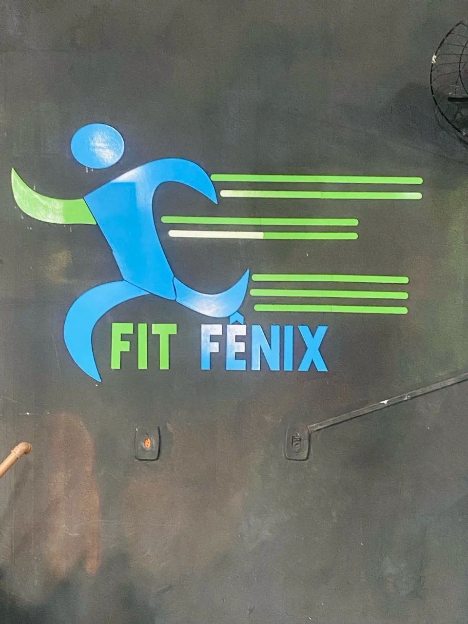 PROFESSOR DE ED. FÍSICA ( BACHARELADO)