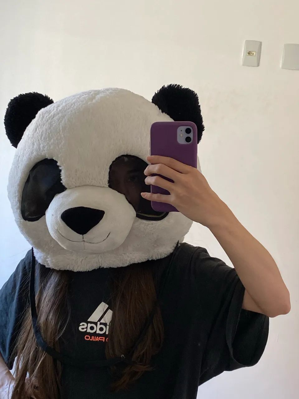 Dee Panda Cabeça de panda Dan dee Fantasia festa - Acessórios - Jardim Limoeiro ...