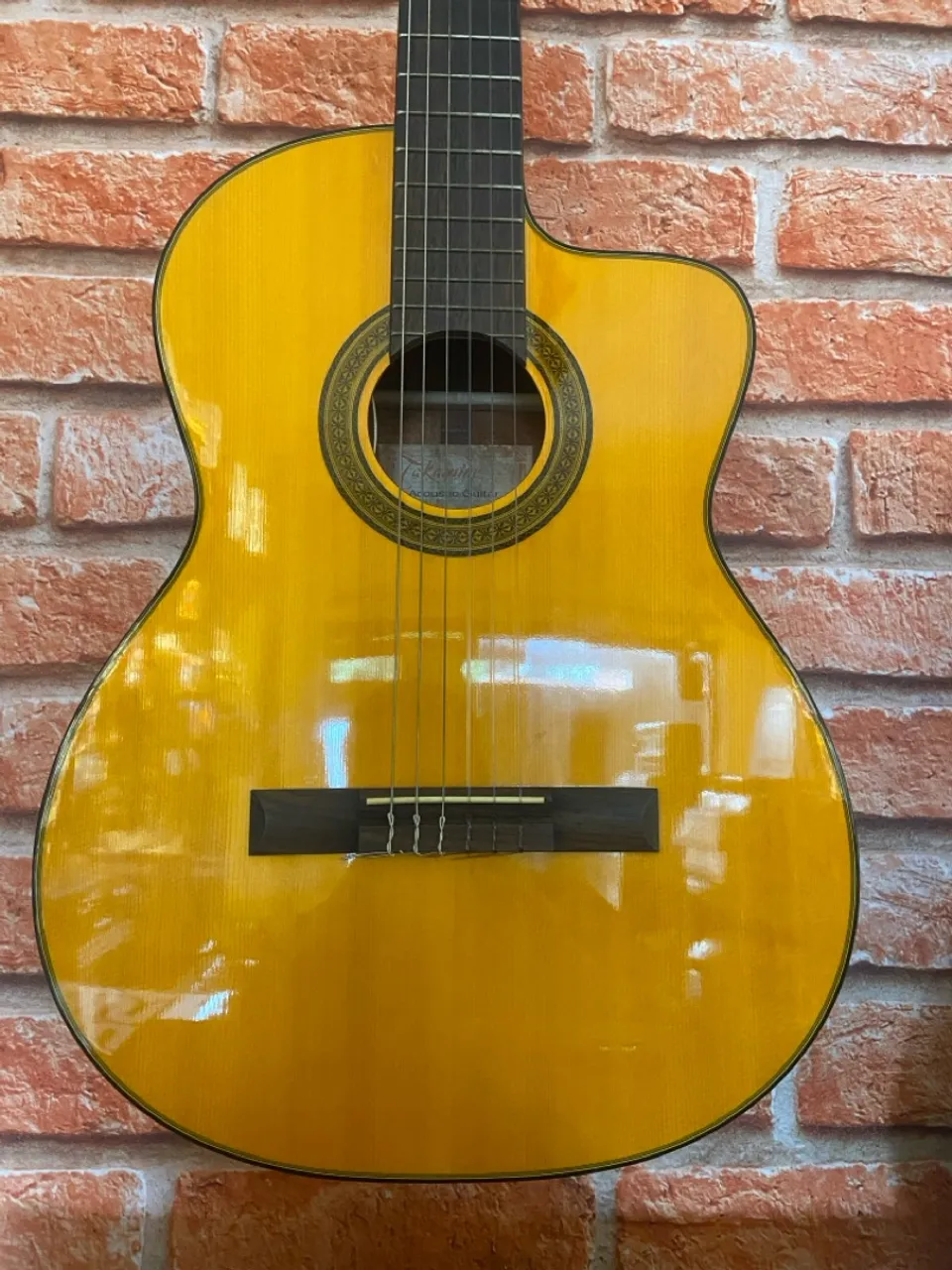 Takamine Nylon EG124C