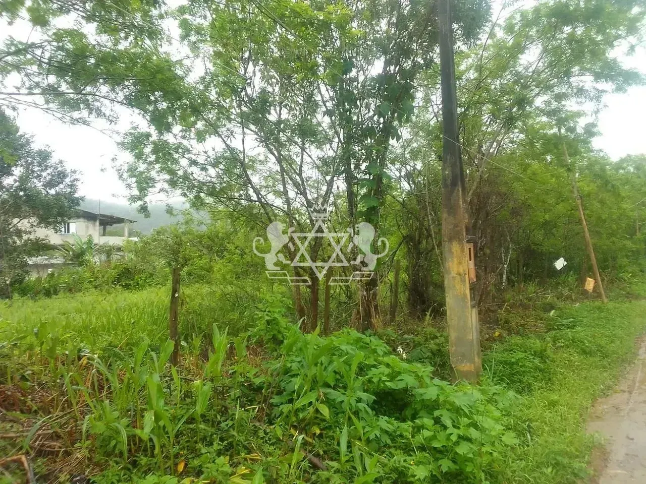 Terreno à venda, Massaguaçu, Caraguatatuba, SP