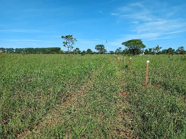 Área de 5.000 m² na saída para SP - Foto 2