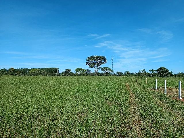 Área de 5.000 m² na saída para SP