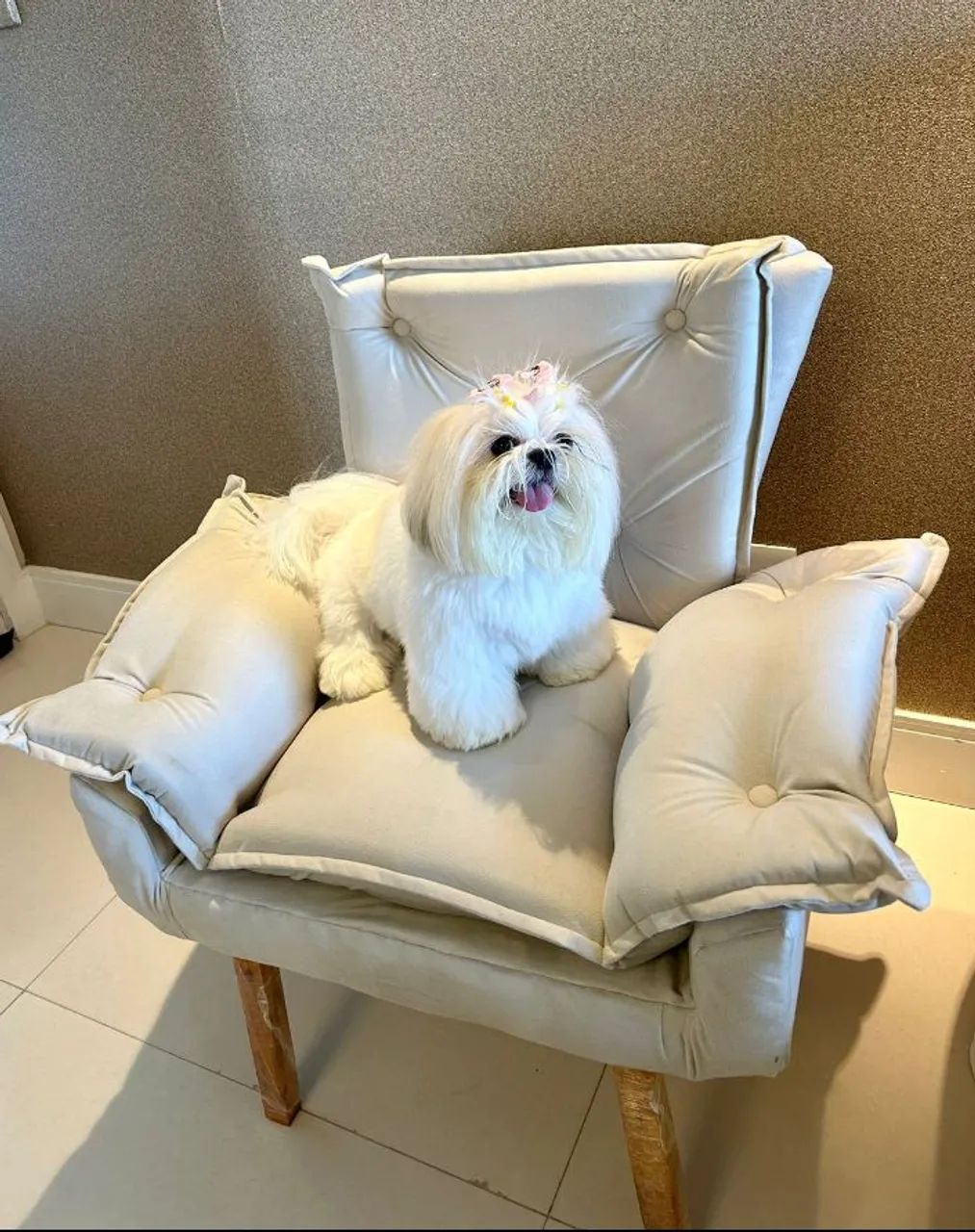   Poltronas e Puff em Veludo em todas as cores - Foto 4