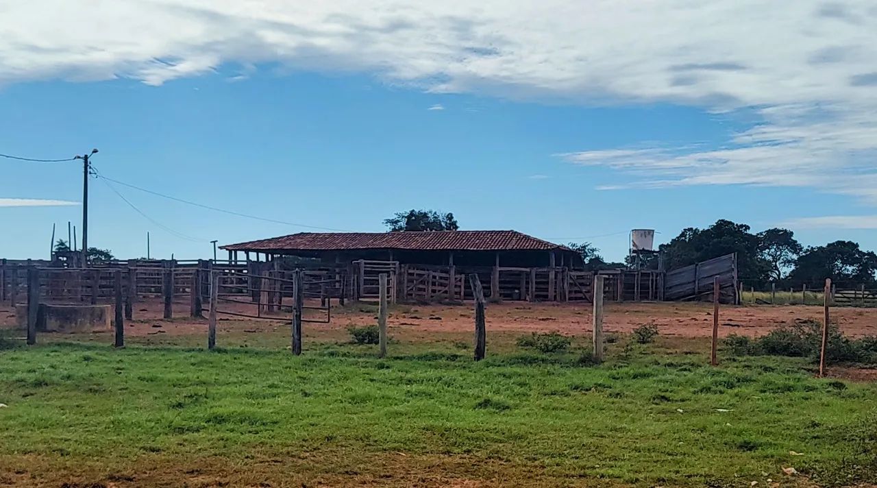 Fazenda Extra 1205 Alqueires - Araguapaz  - Foto 3