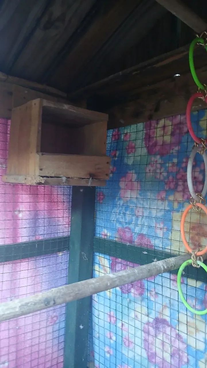 Gaiola para pássaro de madeira  - Foto 2