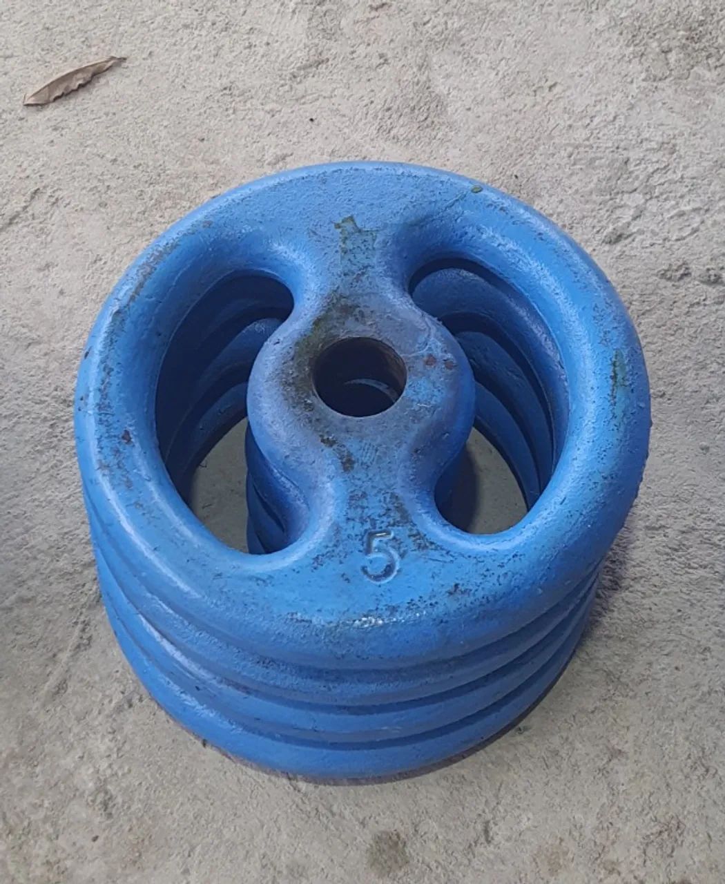 Anilha pintada 5kg64299593727363121