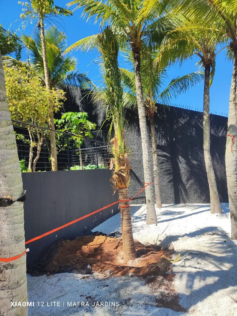 Jardinagem e paisagismo  - Foto 4