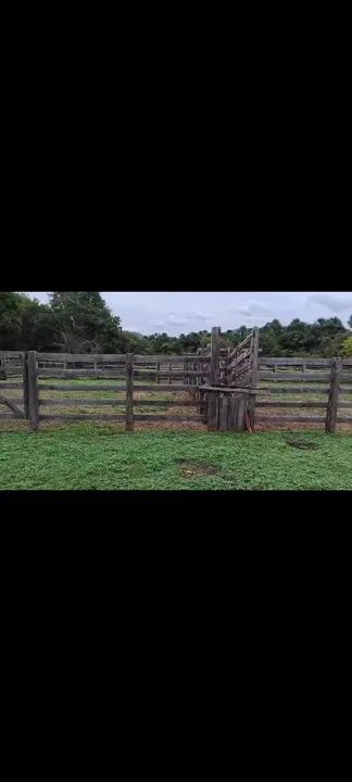 Fazenda Manga - Foto 2