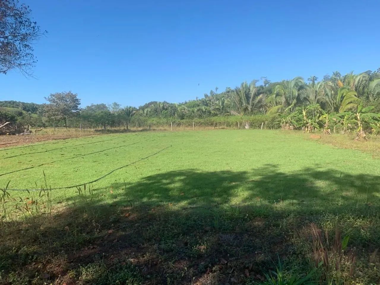 Vendo Fazenda em Miranorte - Foto 2