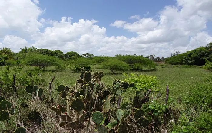Terreno à Venda - Centro - Macaíba/RN - Foto 4
