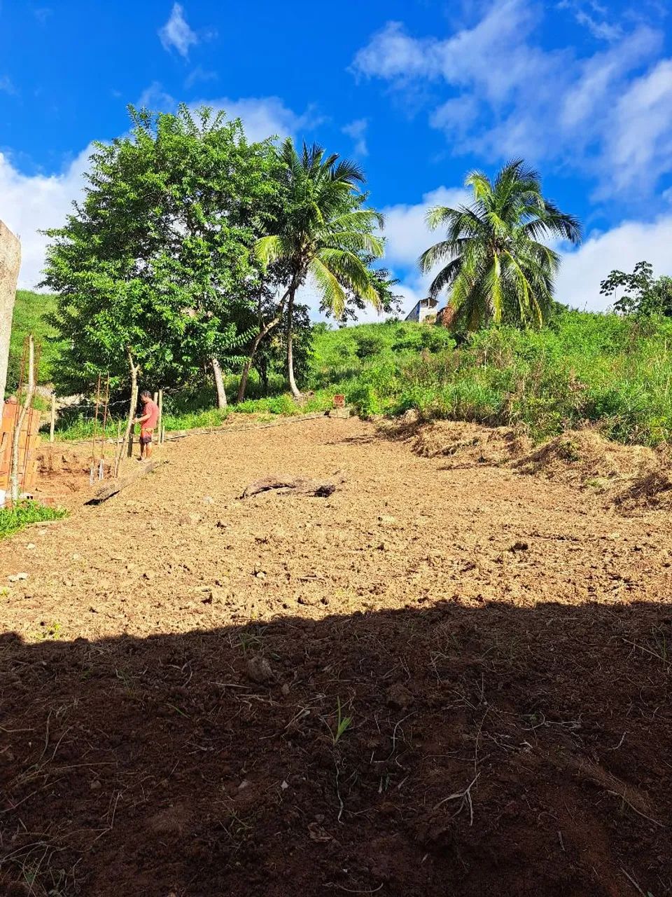 Terreno a venda em Viçosa-Alagoas. - Foto 5