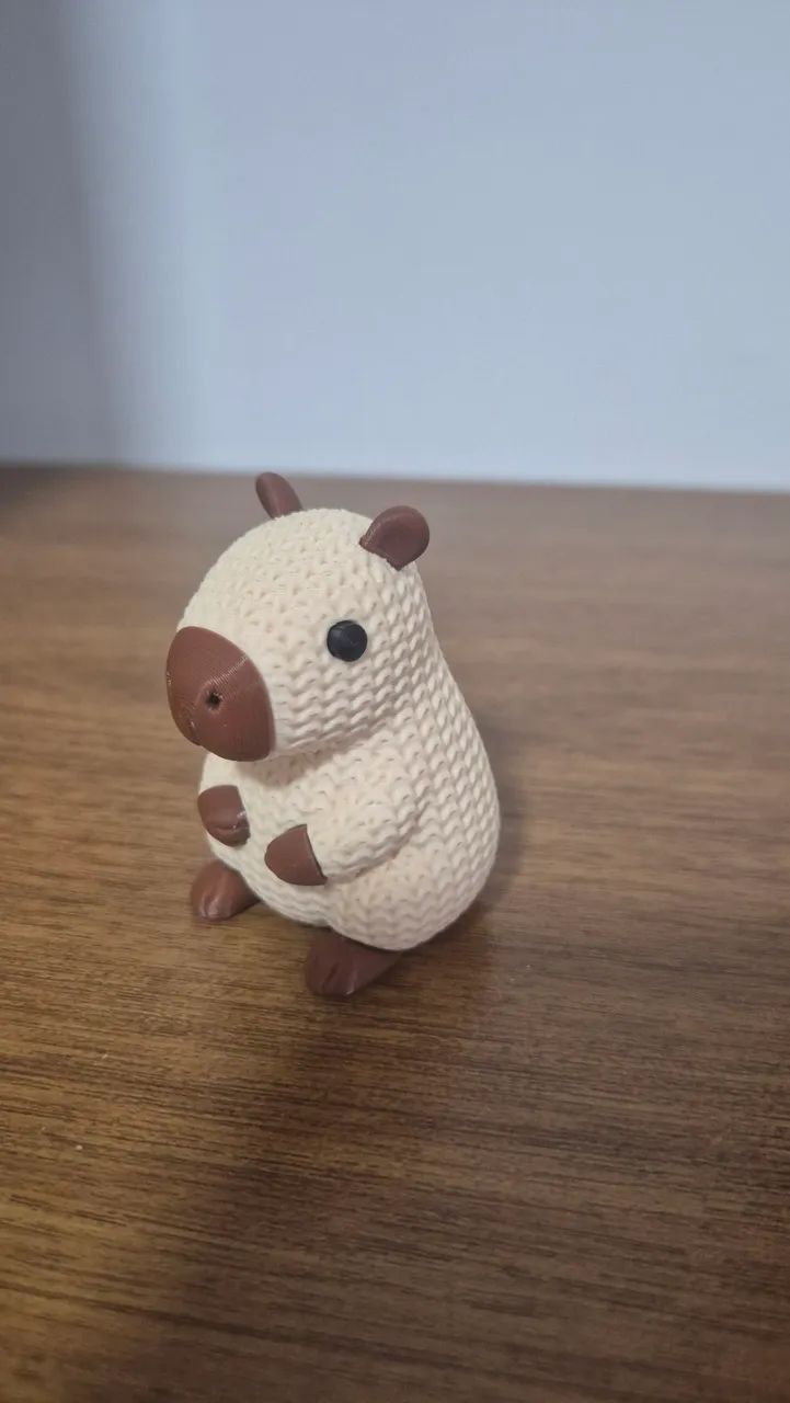 Capivara  - Foto 4