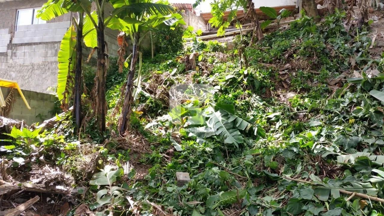 Terreno à Venda no Saco Grande - Foto 3