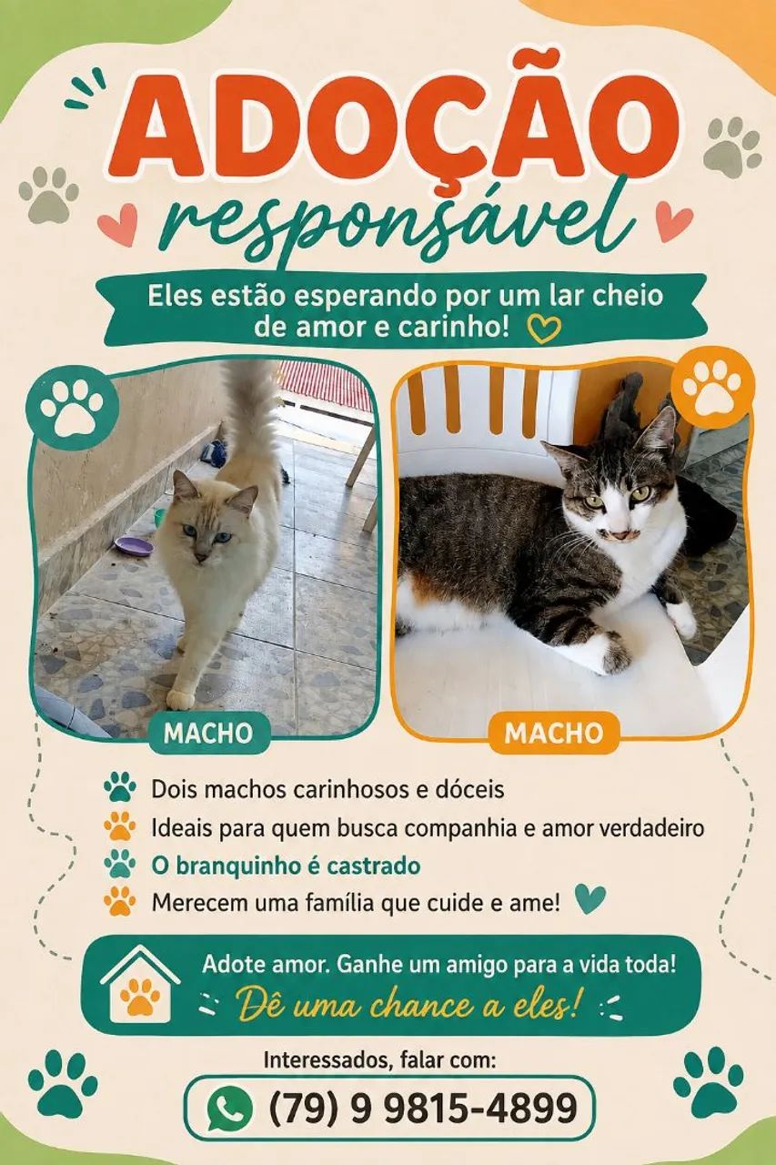 Gatos