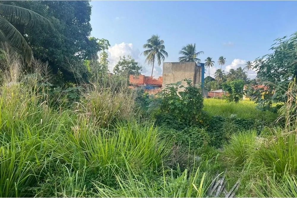 Terreno á venda São Miguel dos Milagres - Foto 7