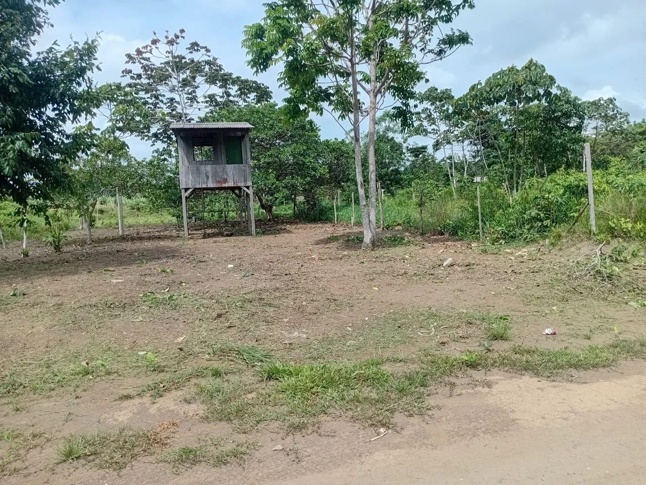 Vendo terreno, cidade nova - Foto 2