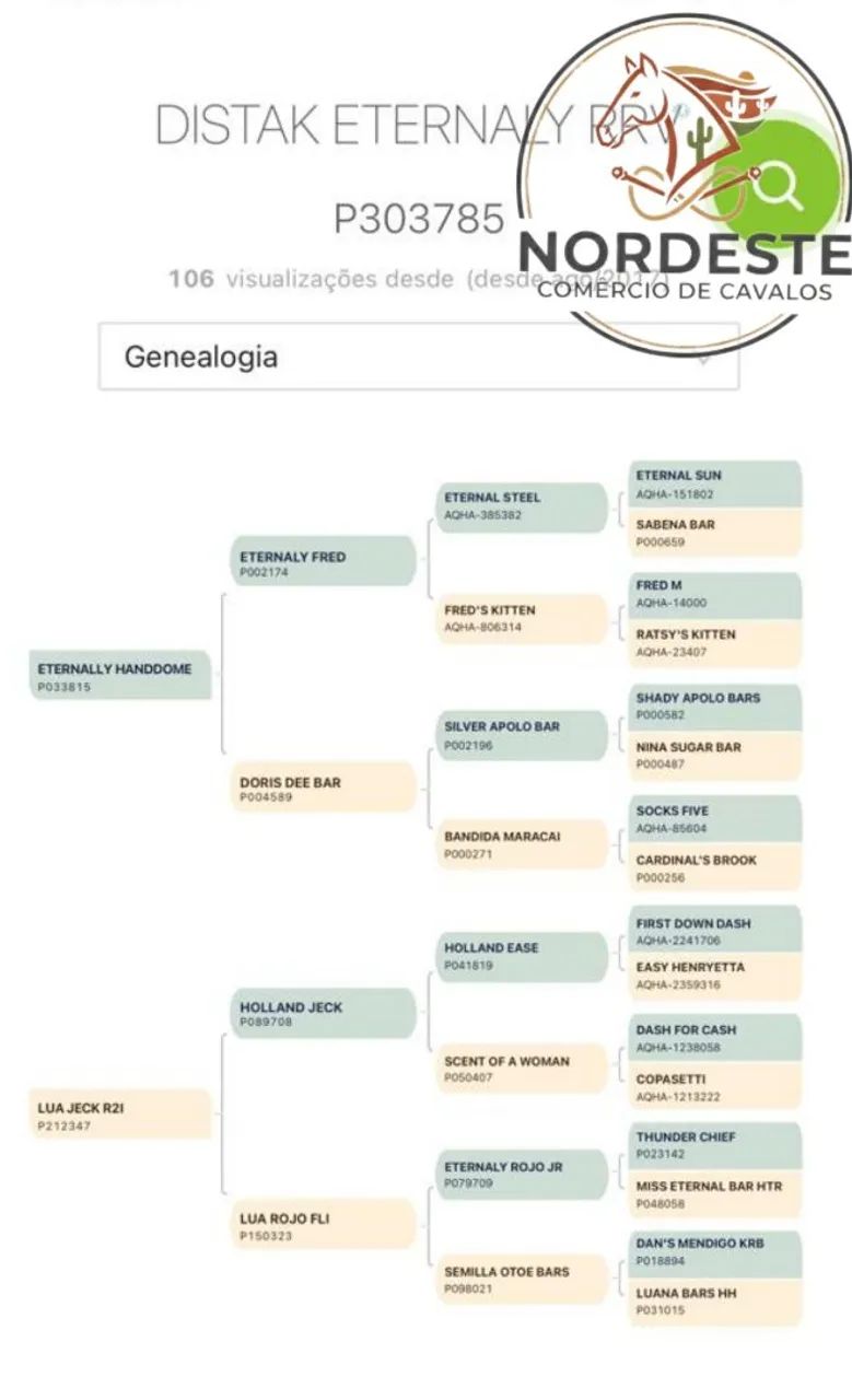 Potro Garanhão Iniciado de Direita - Foto 6