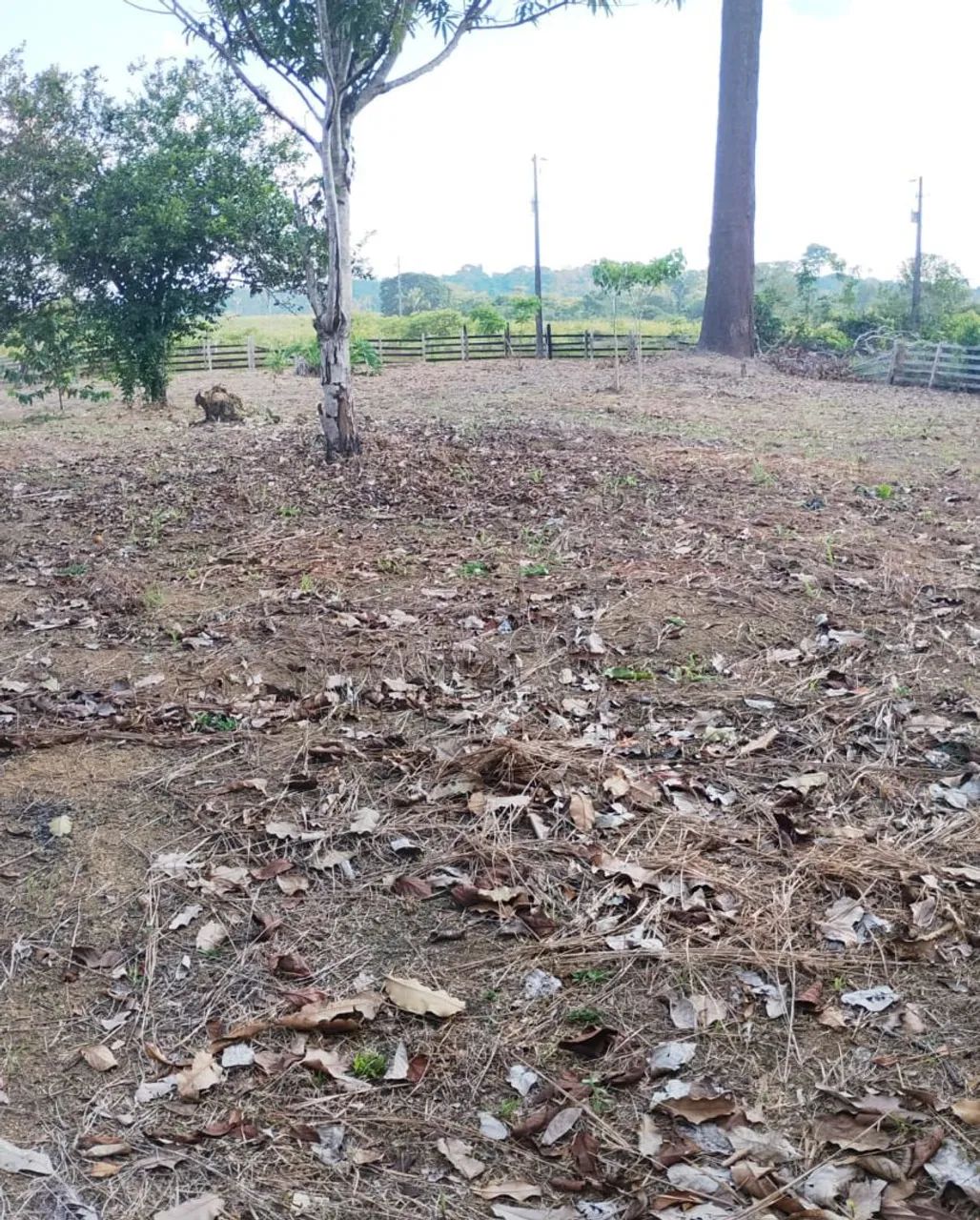 Chácara  - Foto 5