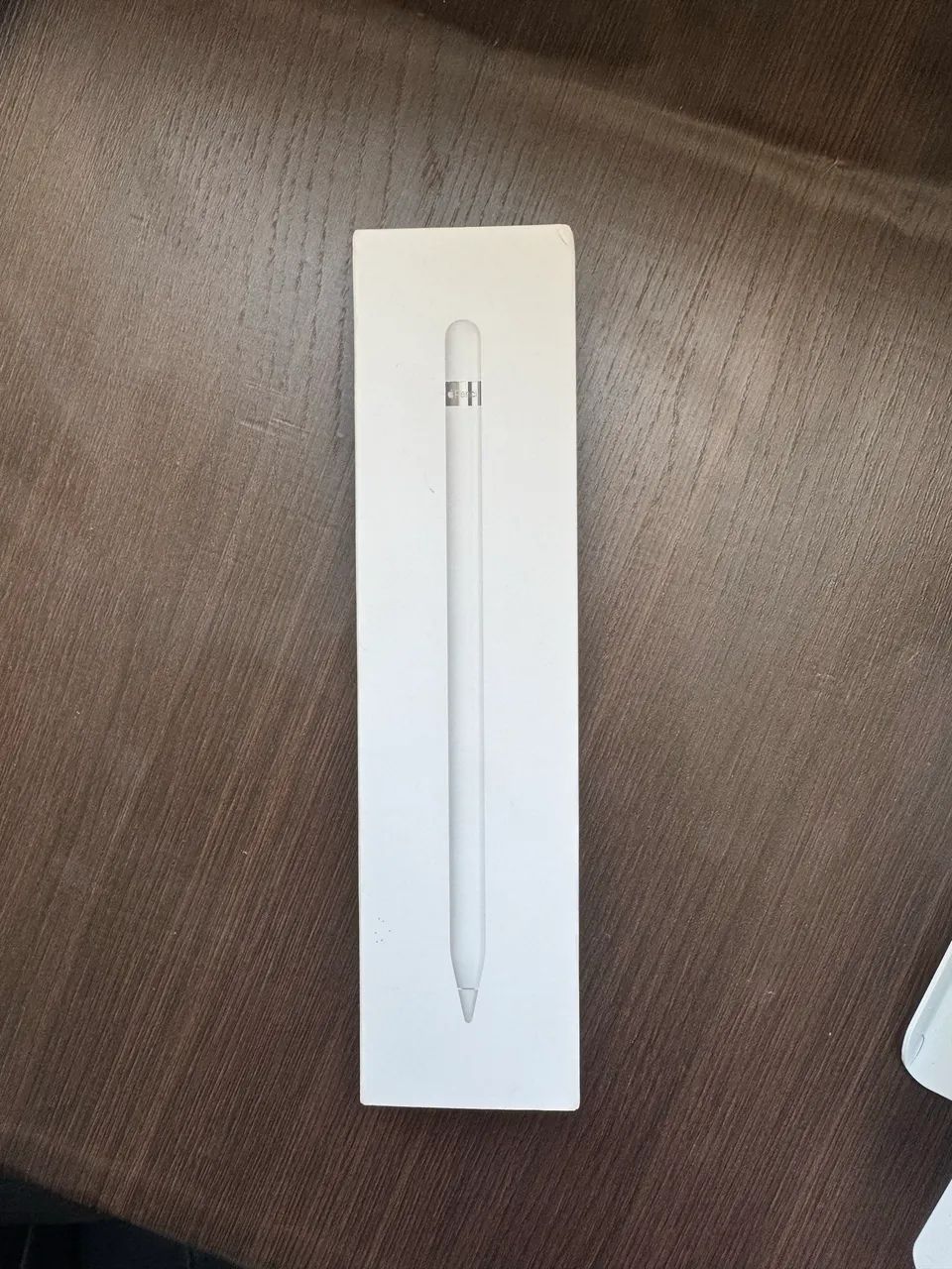 VENDO APPLE PENCIL (1º geração)