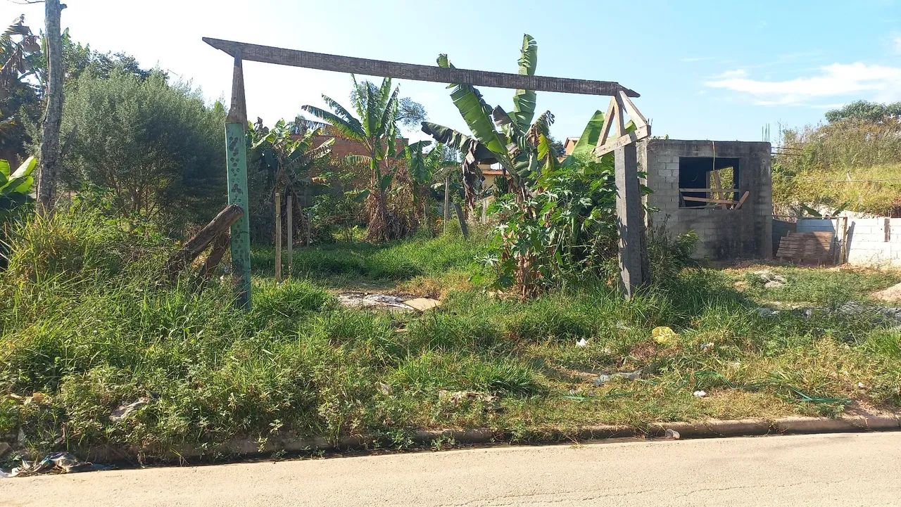 Terreno 
