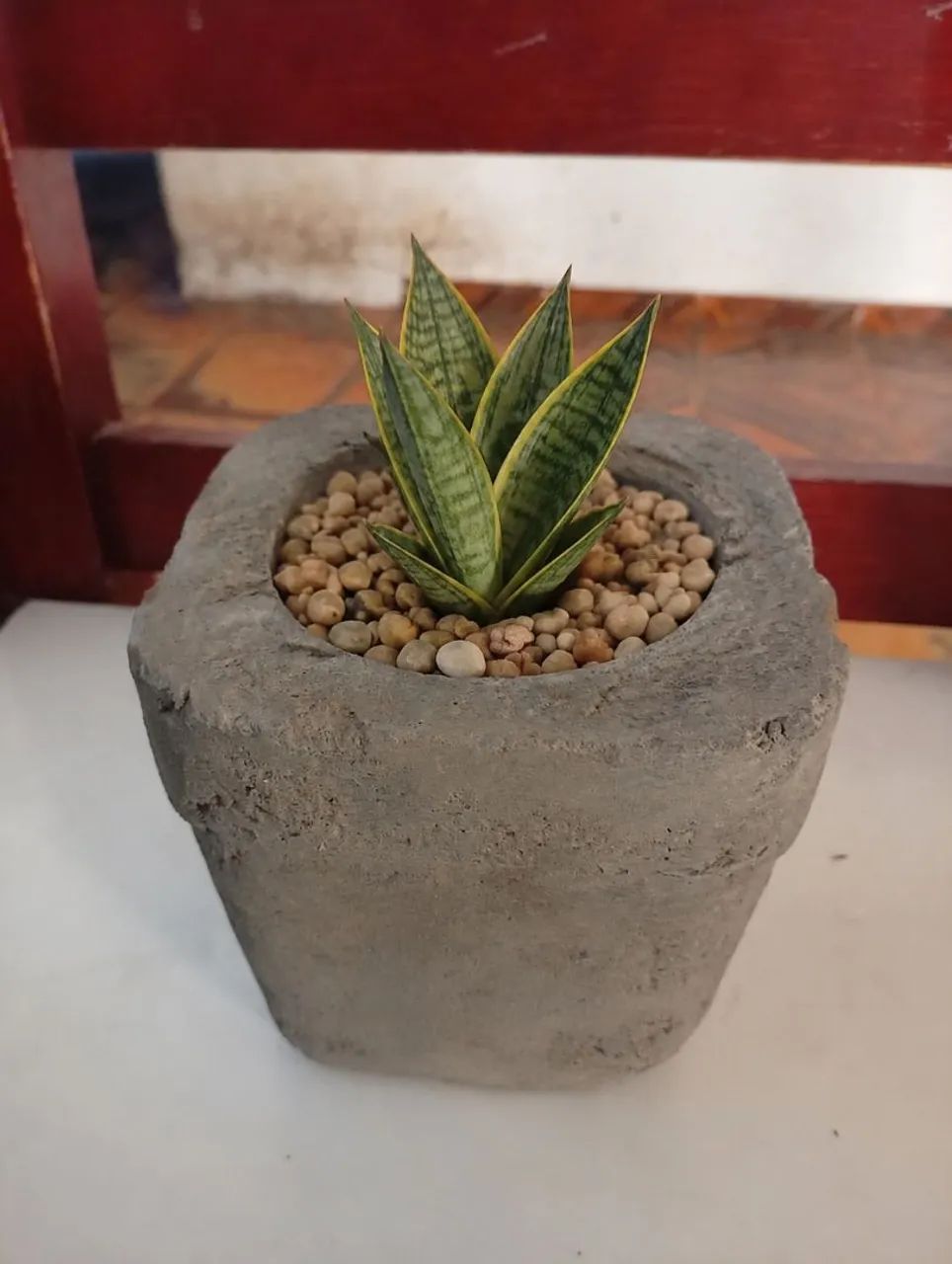Vaso de plantas  - Foto 3