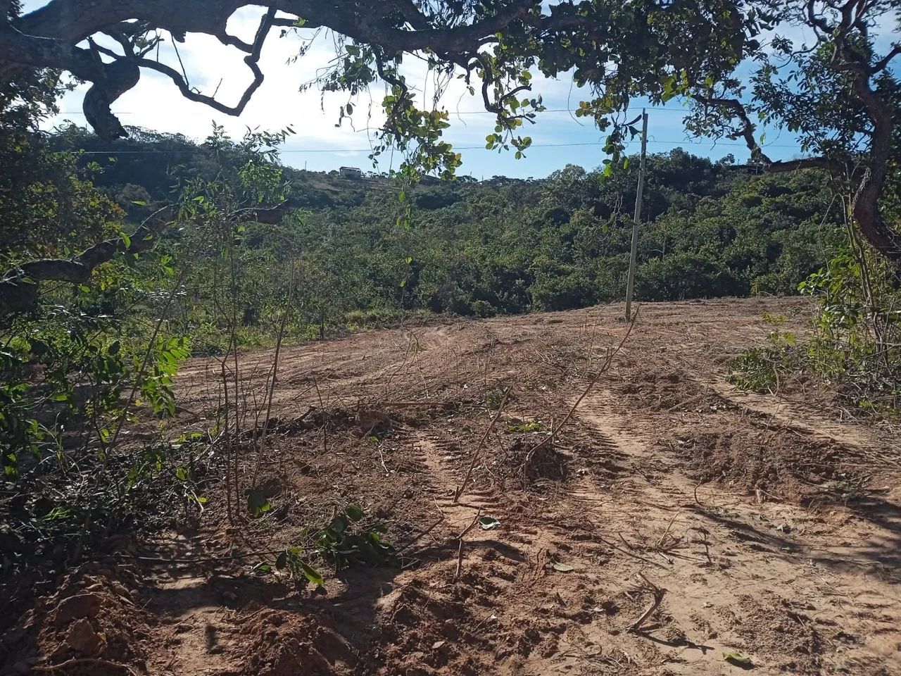 TERRENO  - Foto 4