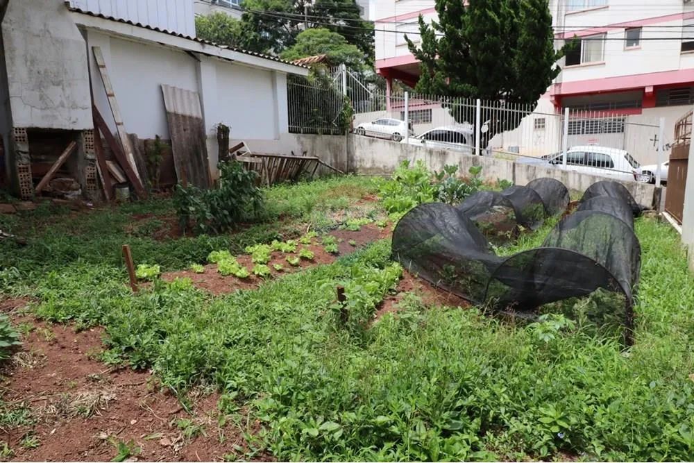 Terreno Central em Passo Fundo - Foto 4