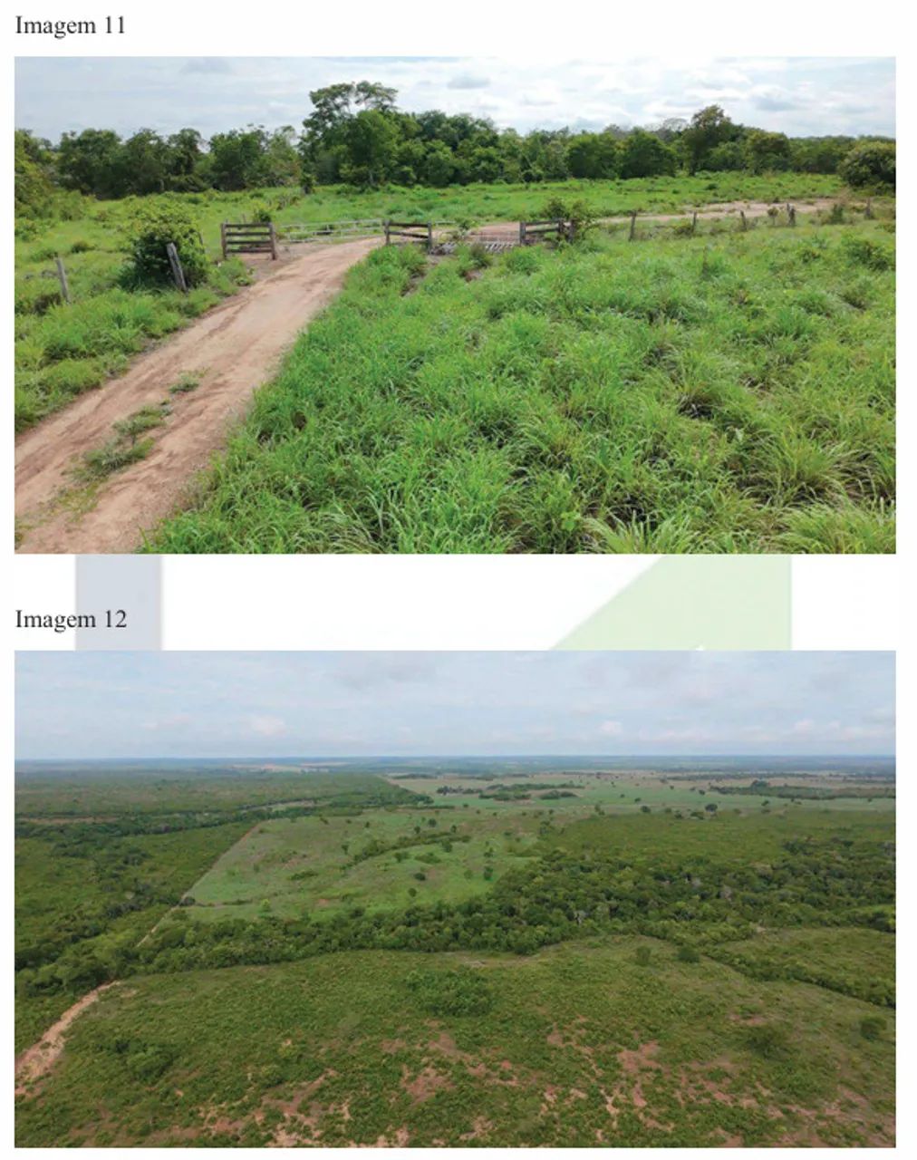 Imóvel rural no Zona Rural em Araguaçu - Foto 4