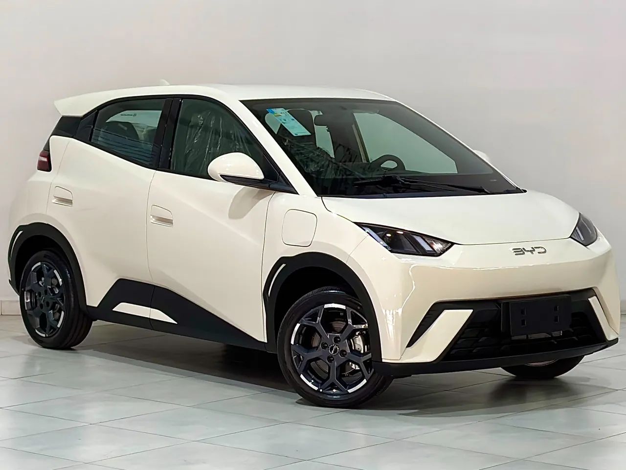 BYD Dolphin Mini (Elétrico) 2027 - Foto 3