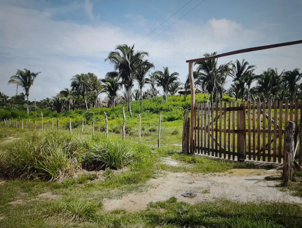 Área 12 HA povoado leite próximo Presidente Vargas - Foto 3