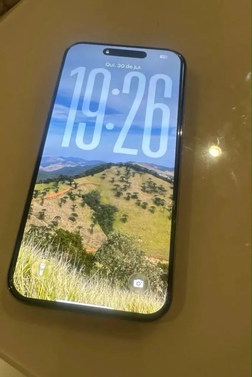 iPhone 16 Pro Max semi novo