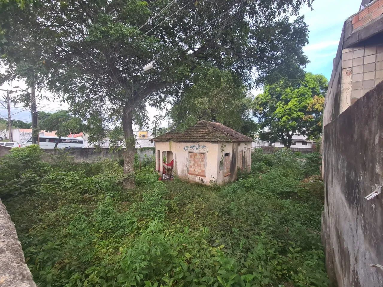 Vendo terreno com área de 3.600m² (cachoeirinha) - Foto 4