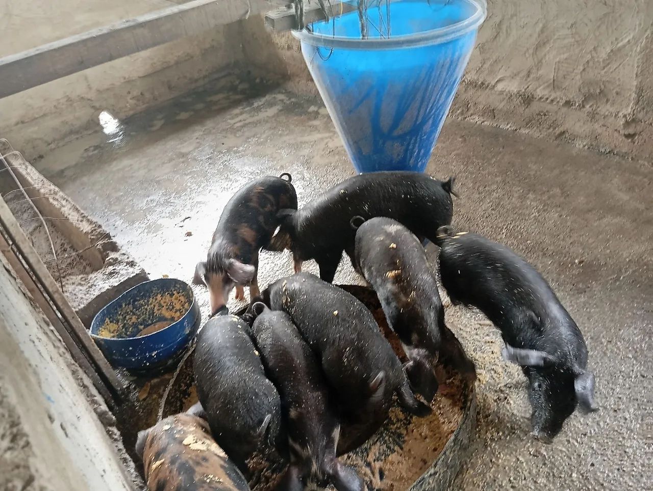 Vendo parte ideal de chácara  - Foto 2
