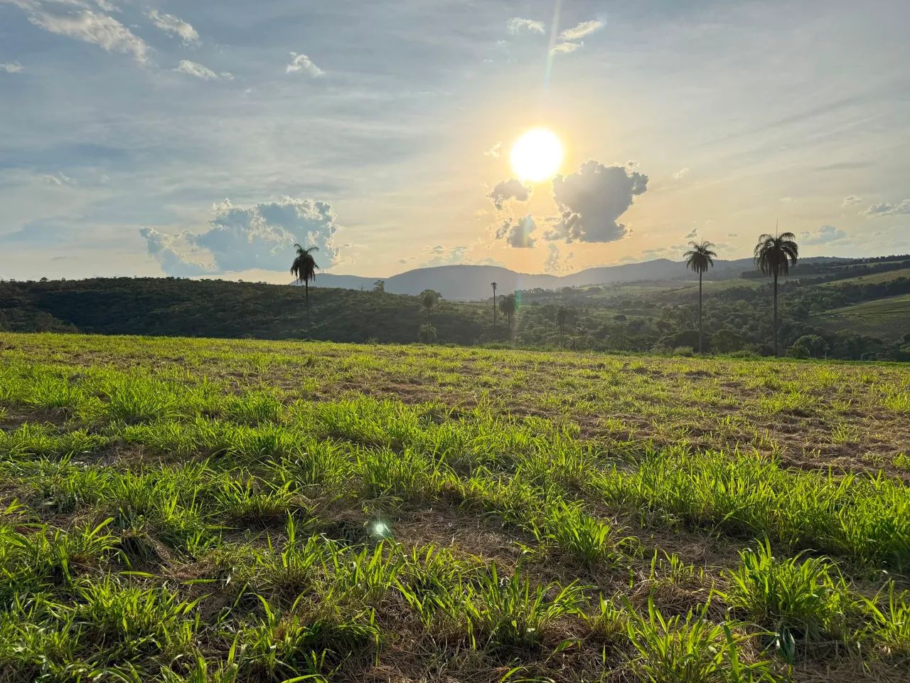 Fazendinhas em juatuba  - Foto 4