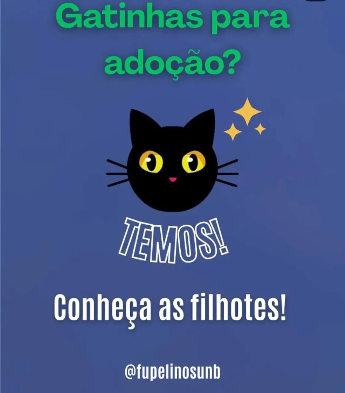 Gatinhas fêmeas para adoção responsável
