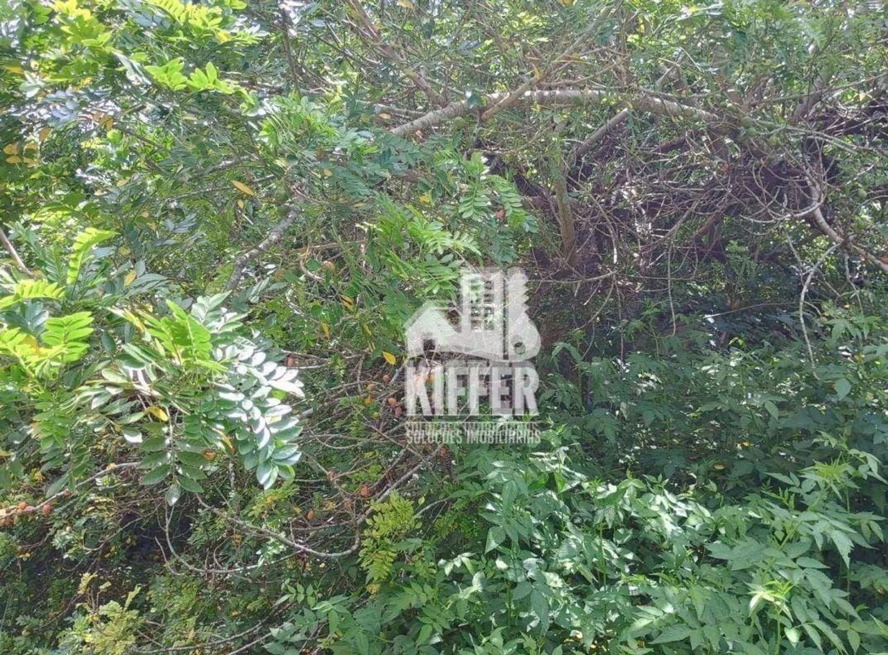 Sítio para alugar, 9945 m² por R$ 8.079,01/mês - Manoel Ribeiro (Ponta Negra) - Maricá/RJ - Foto 9
