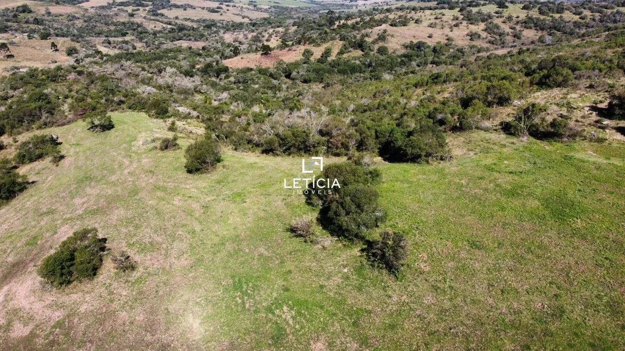 Campo de Pecuária - Foto 5