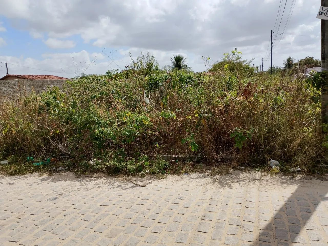 Terreno  - Foto 3