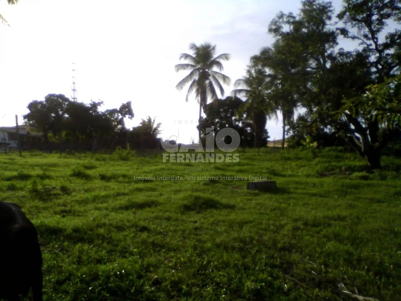 Terreno no centro de Macaíba - Foto 5
