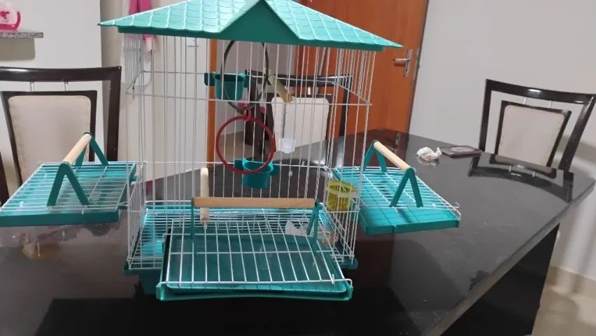 Gaiola - Foto 3
