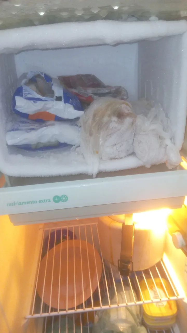 GELADEIRA CONSUL - Foto 4