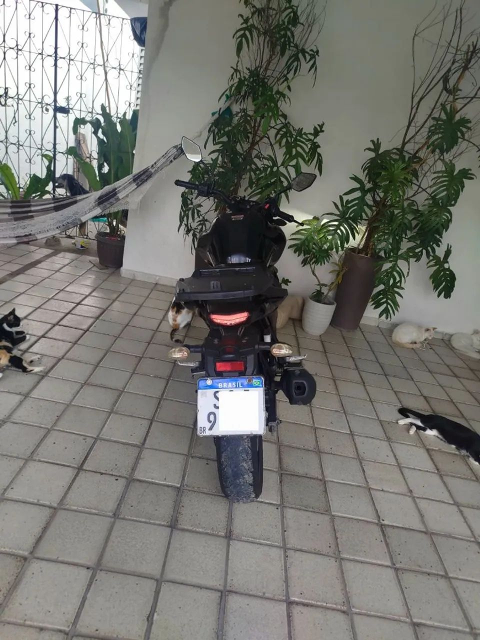 yamaha fazer 15 - Foto 6