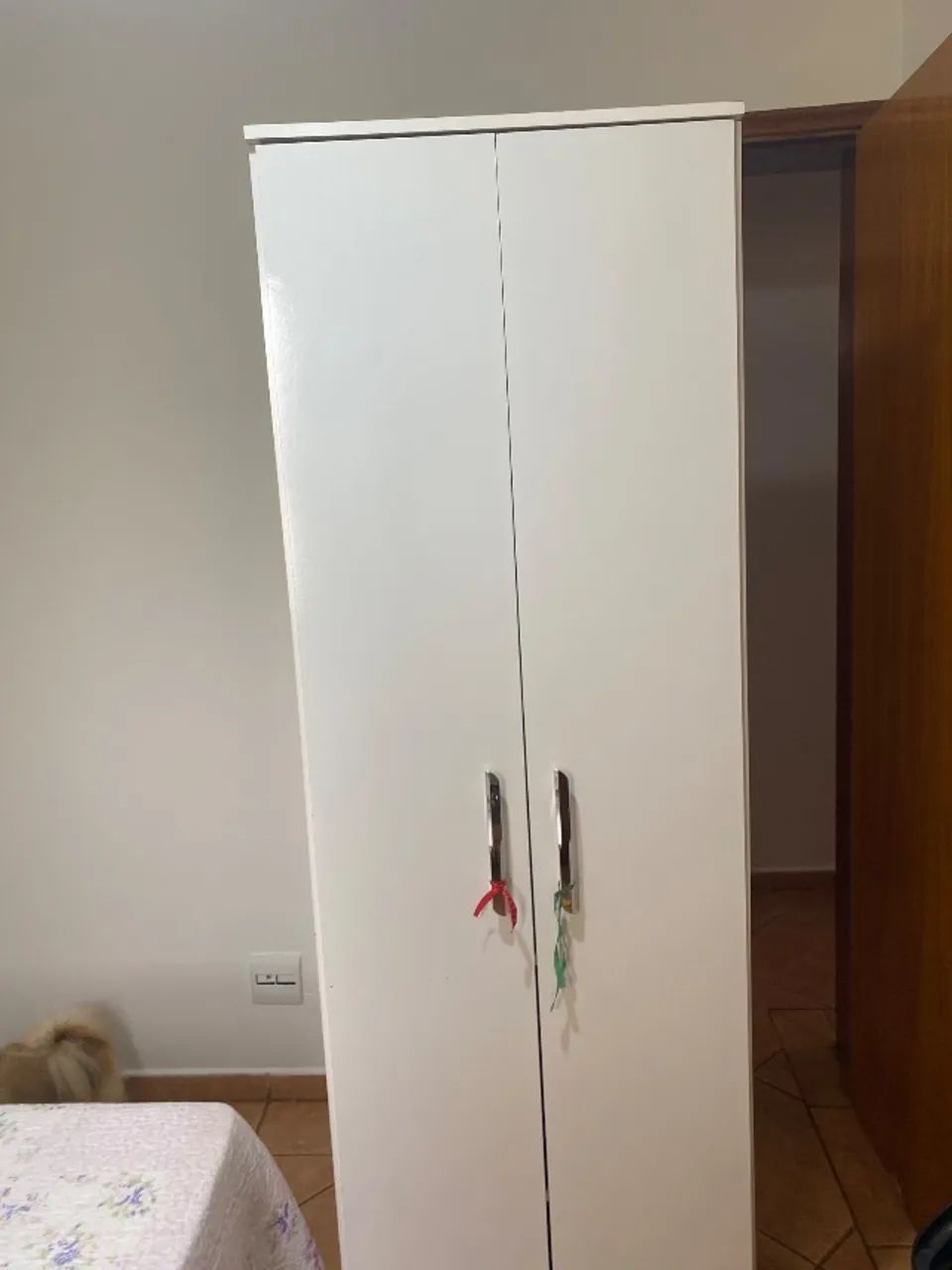 Sapateira  - Foto 3