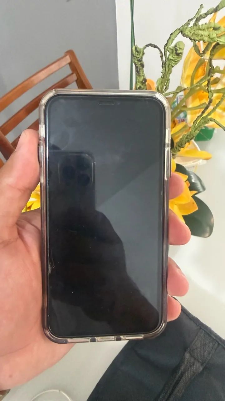 iPhone 11 todo original
