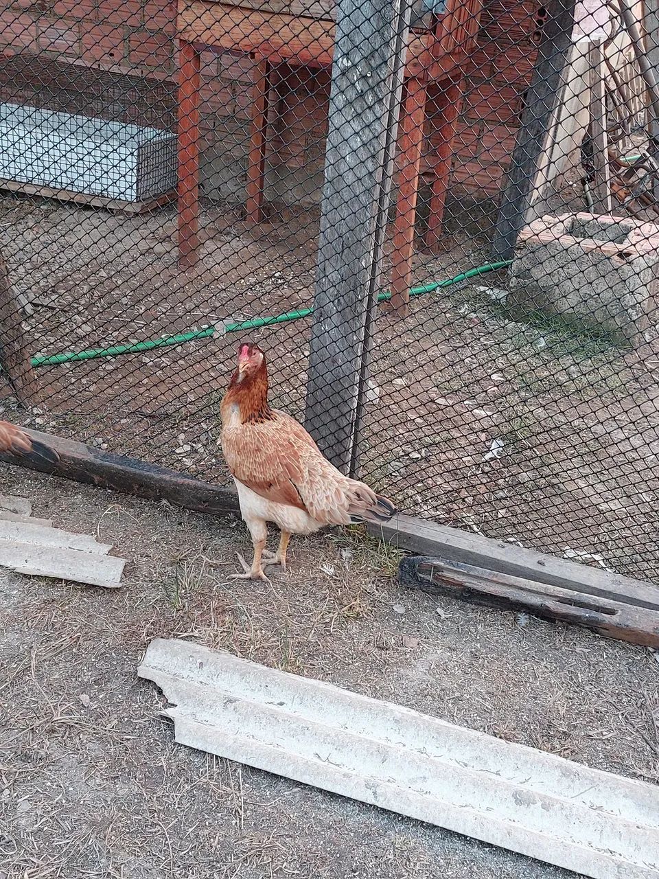 Lote todo - Foto 3